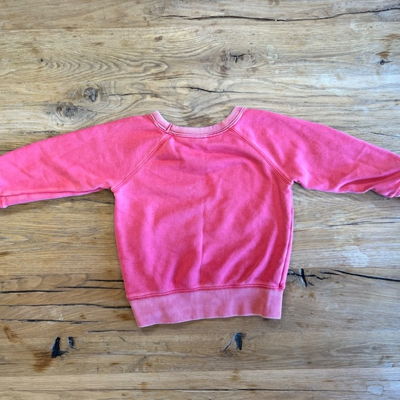 baby GAP. Size 4T (boys). "Captain Rawrsome" Red sweatshirt. - Picture 5 of 5
